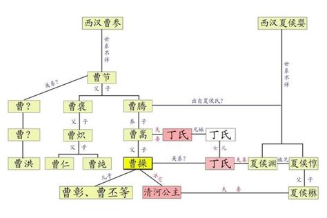 曹操姓夏侯|曹氏和夏侯氏到底什么关系？为什么夏侯氏可以决定曹。